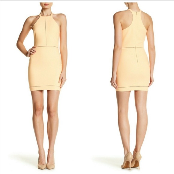 Elizabeth and James Dresses & Skirts - Elizabeth and James dress